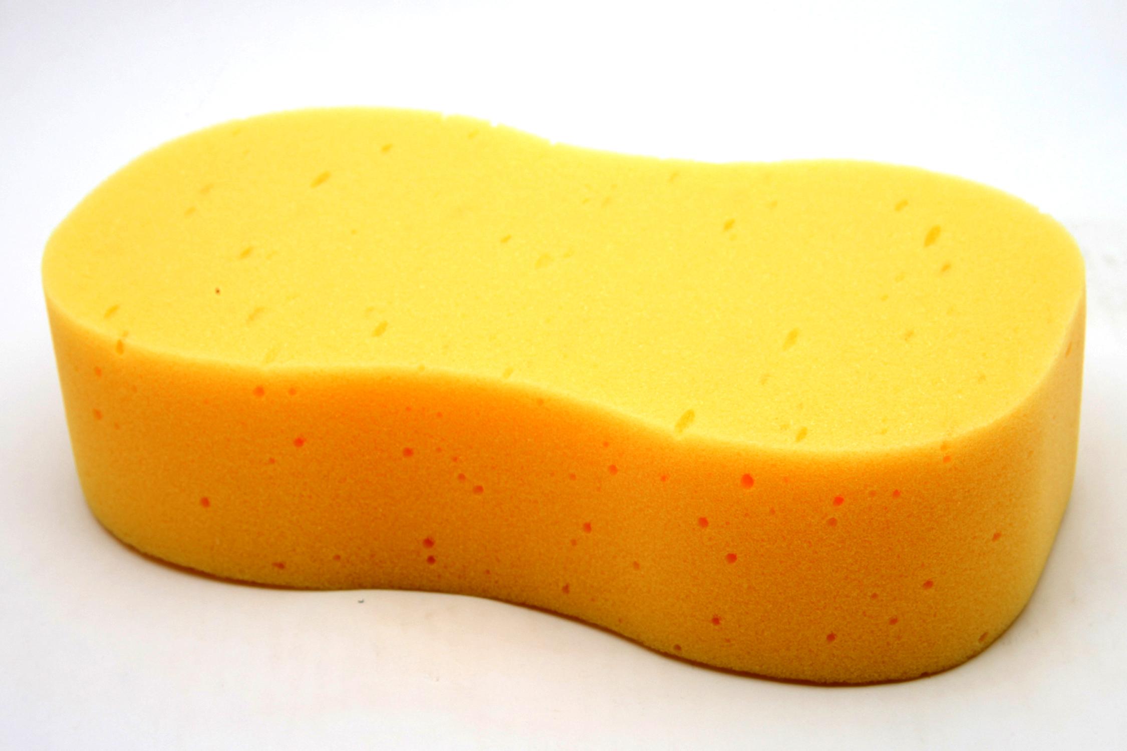 Sponge